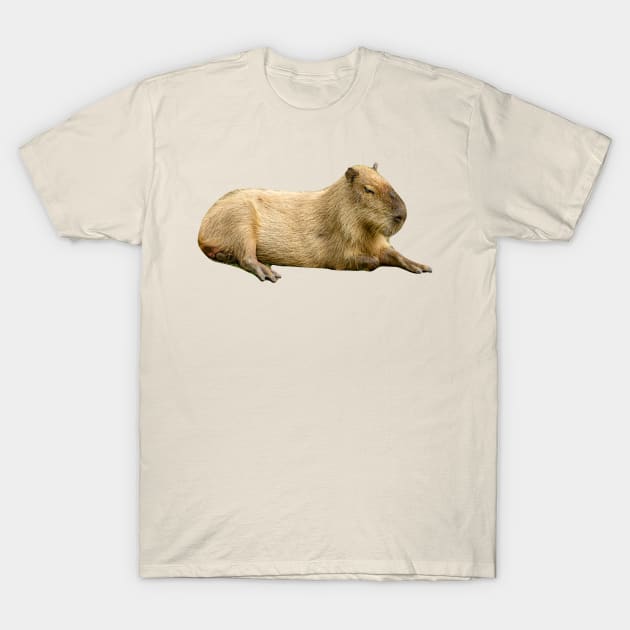 Lazy Sunday afternoon Capybara T-Shirt by dalyndigaital2@gmail.com